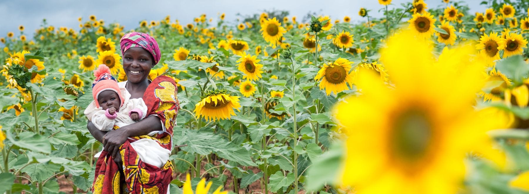 One Acre Fund