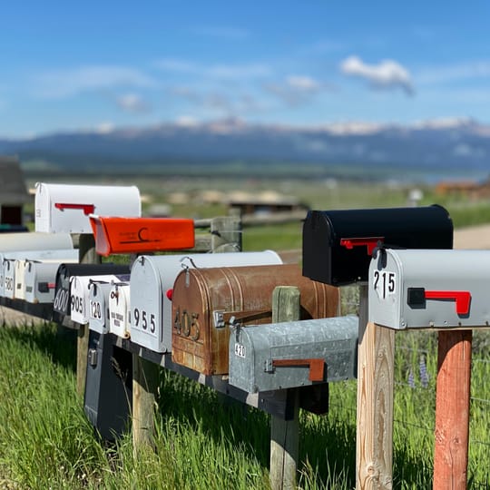Newsletter